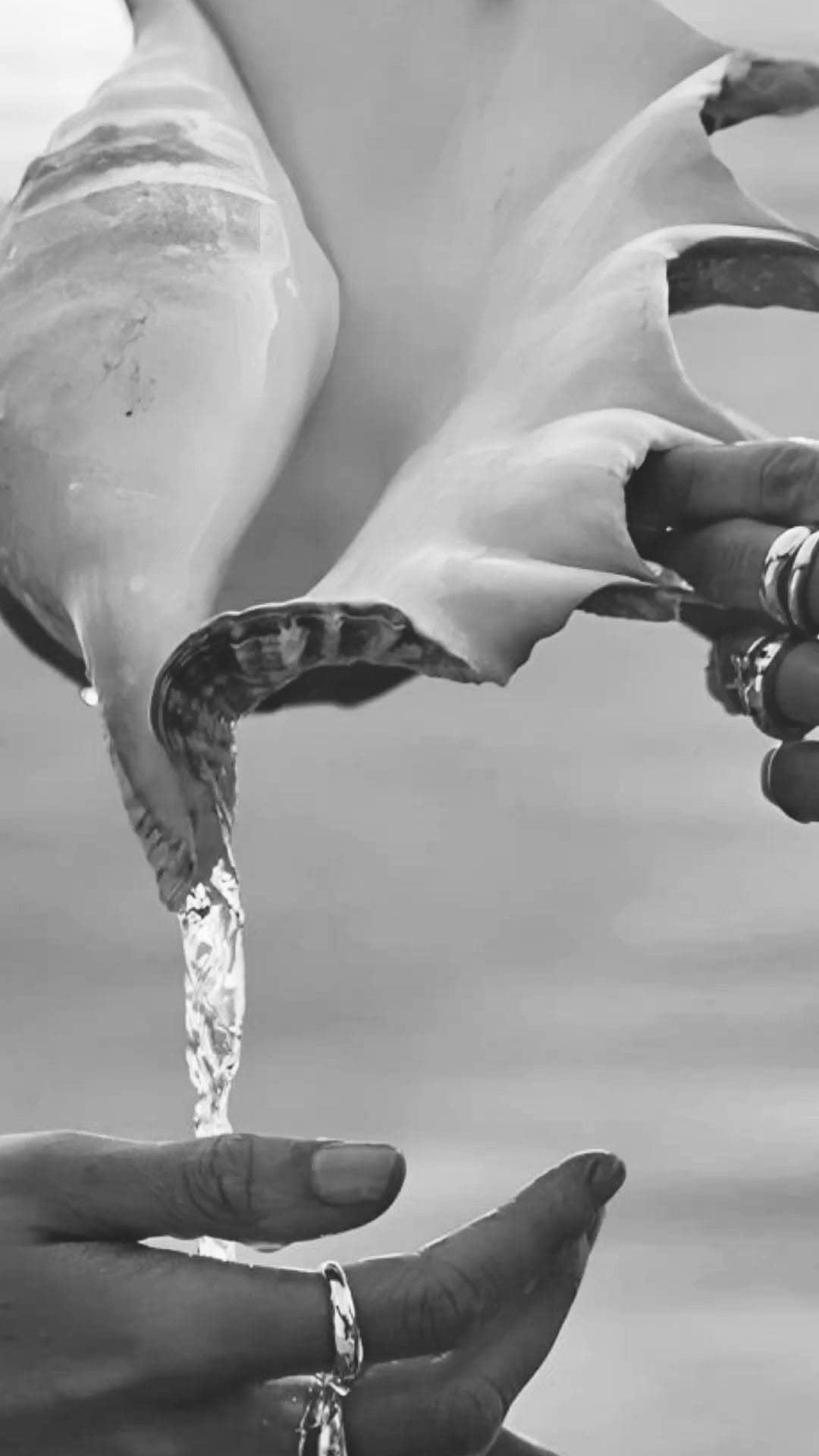 Water poured from a conch shell into open hands